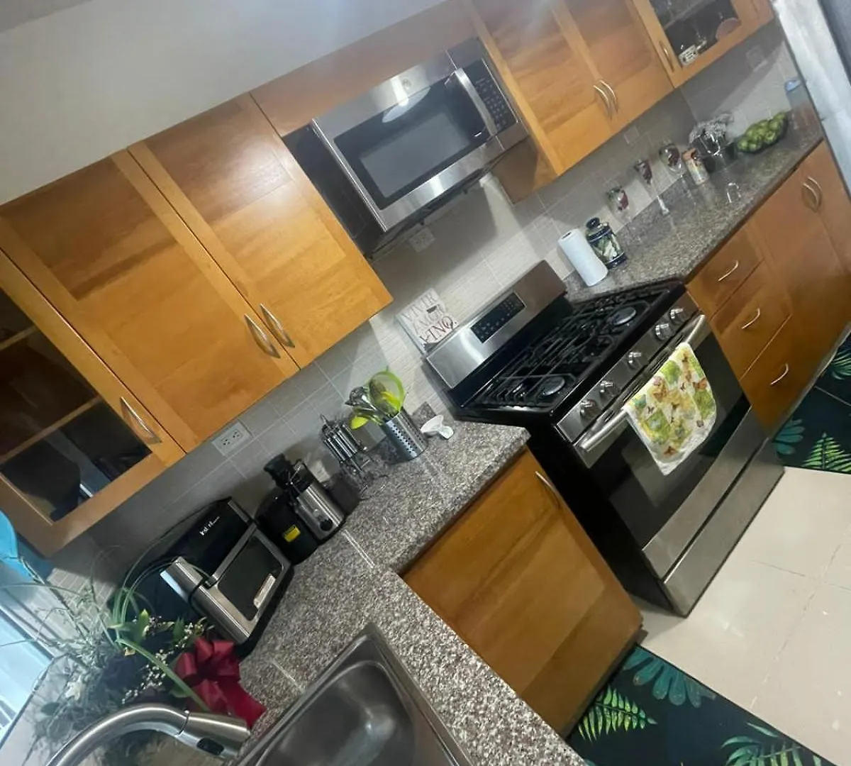 Apartamento Completo Con Jacuzzi Y Gazebo Σάντο Ντομίγκο Διαμέρισμα